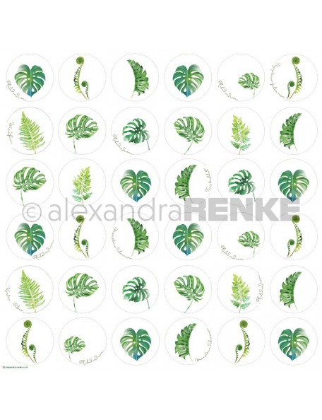 Papel Monstera Circulos/ Monstera Kreise - Alexandra Renke