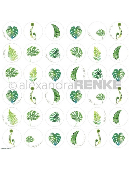 Papel Monstera Circulos/ Monstera Kreise - Alexandra Renke