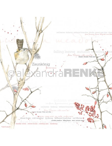 Alexandra Renke Cardstock de una cara 30,5x30,5 cm, Aquarell Vogel/Pajaro Aquarela