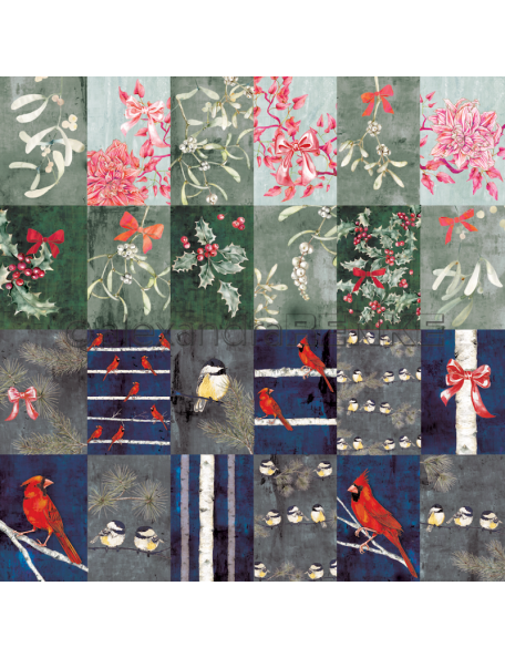 Alexandra Renke Cardstock una cara 30,5x30,5 cm, Kärtchenbogen Winterbirds