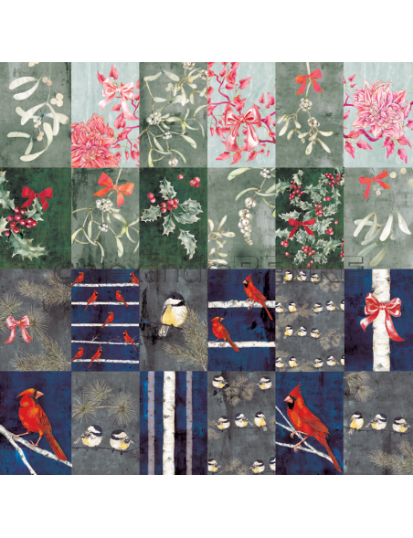 Alexandra Renke Cardstock una cara 30,5x30,5 cm, Kärtchenbogen Winterbirds