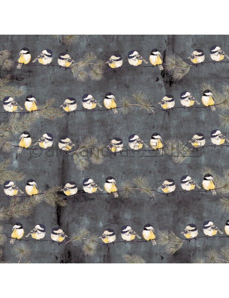 Alexandra Renke Cardstock una cara 30,5x30,5 cm, Winterbirds Kohlmeise Rapport
