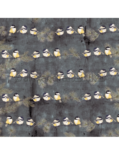 Alexandra Renke Cardstock una cara 30,5x30,5 cm, Winterbirds Kohlmeise Rapport