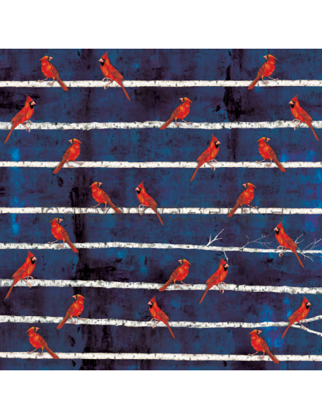 Alexandra Renke Cardstock una cara 30,5x30,5 cm, Winterbirds Kardinalsvogel