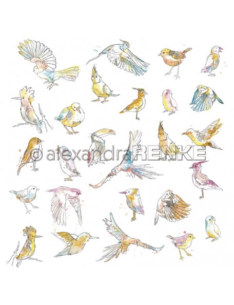 Alexandra Renke Paradies paradiesische Vögel
