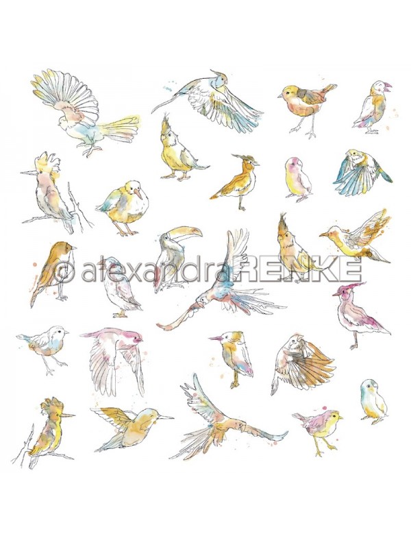 Alexandra Renke Paradies paradiesische Vögel