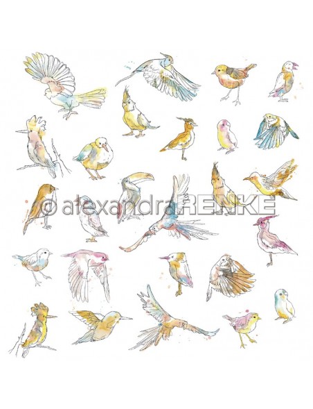 Alexandra Renke Paradies paradiesische Vögel