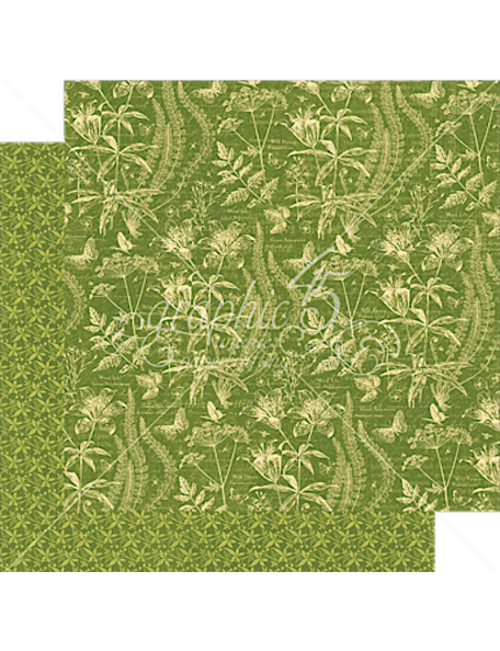 Graphic 45 Nature Sketchbook, Flora Fascination