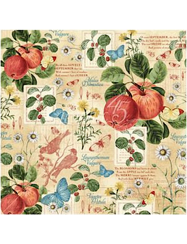 Graphic 45 Time To Flourish, September Flourish