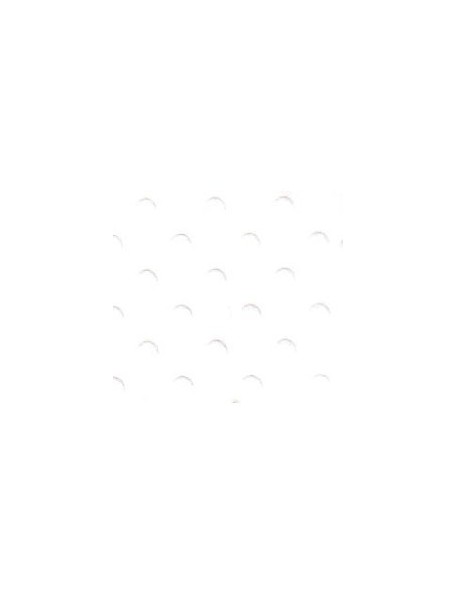 Bazzill Salt Dotted Swiss Cardstock 12"X12" 