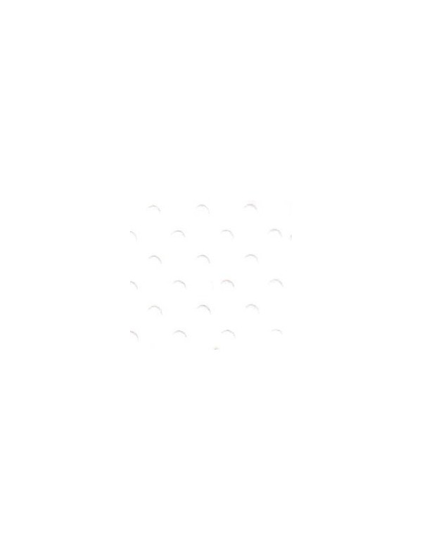 Bazzill Salt Dotted Swiss Cardstock 12"X12" 