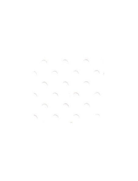 Bazzill Salt Dotted Swiss Cardstock 12"X12" 