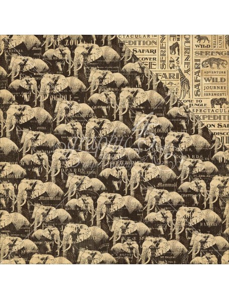 Graphic 45 Safari Adventure, Great Migration